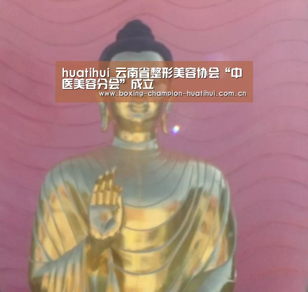 华体会官网下载