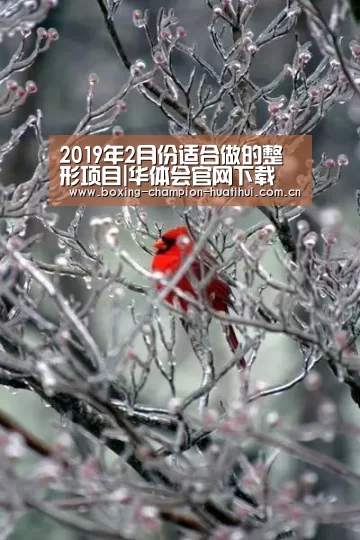 2019年2月份适合做的整形项目|华体会官网下载(图1) 华体会app