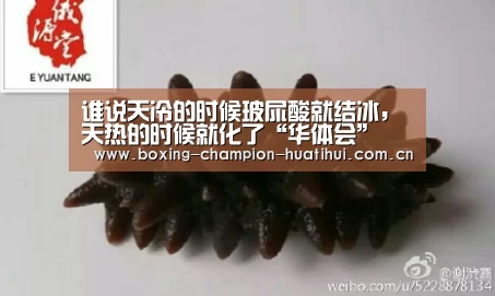 谁说天冷的时候玻尿酸就结冰,天热的时候就化了“华体会”(图2) 华体会