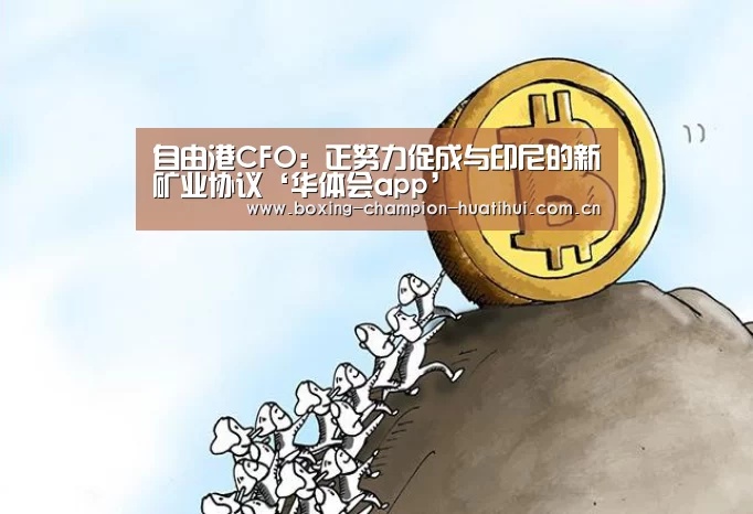 自由港CFO:正努力促成与印尼的新矿业协议‘华体会app’(图1) 华体会官网下载