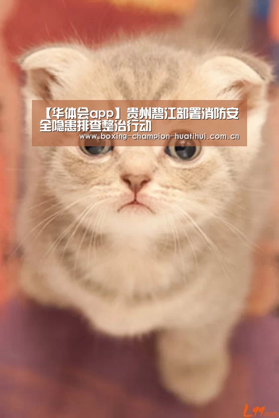 【华体会app】贵州碧江部署消防安全隐患排查整治行动(图3) 华体会