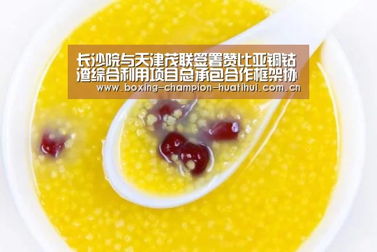 长沙院与天津茂联签署赞比亚铜钴渣综合利用项目总承包合作框架协议-华体会(图1) 华体会app