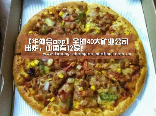 【华体会app】全球40大矿业公司出炉,中国有12家!(图1) 华体会官网下载