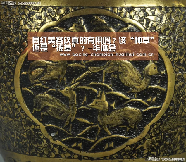 网红美容仪真的有用吗?该“种草”还是“拔草”?-华体会(图1) 华体会app